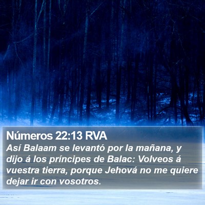 Números 22:13 RVA Bible Verse Image