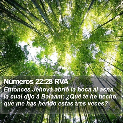 Números 22:28 RVA Bible Verse Image