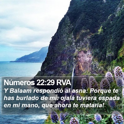 Números 22:29 RVA Bible Verse Image