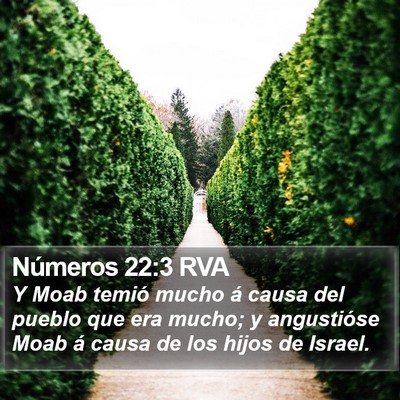 Números 22:3 RVA Bible Verse Image