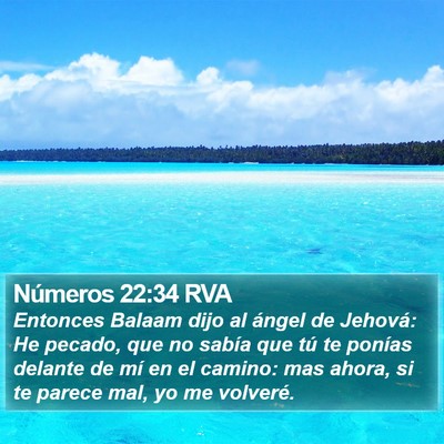Números 22:34 RVA Bible Verse Image