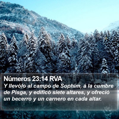 Números 23:14 RVA Bible Verse Image