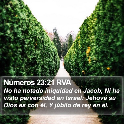 Números 23:21 RVA Bible Verse Image
