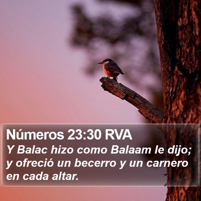 Números 23:30 RVA Bible Verse Image