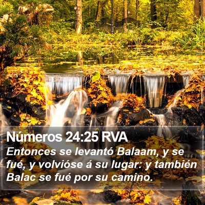 Números 24:25 RVA Bible Verse Image