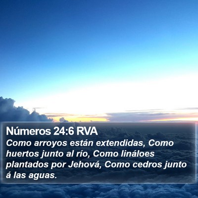 Números 24:6 RVA Bible Verse Image