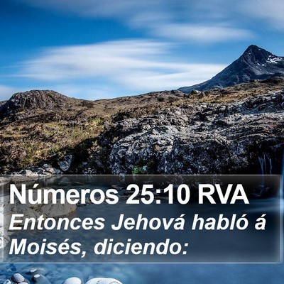 Números 25:10 RVA Bible Verse Image