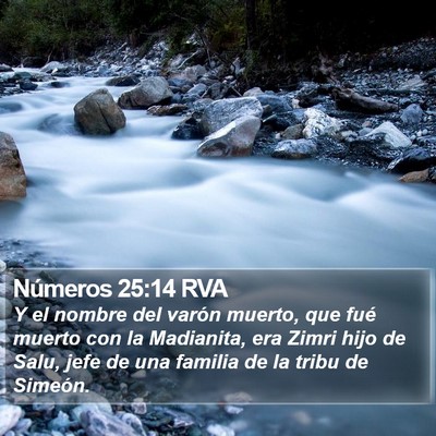 Números 25:14 RVA Bible Verse Image