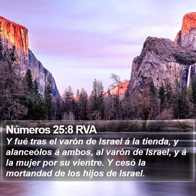Números 25:8 RVA Bible Verse Image