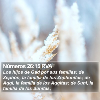Números 26:15 RVA Bible Verse Image