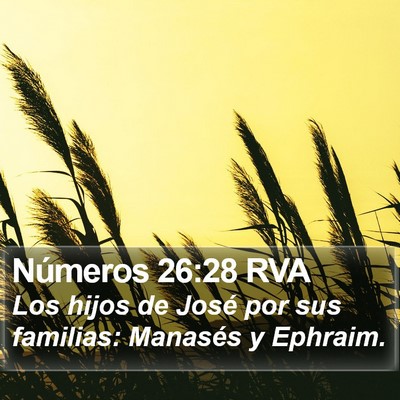 Números 26:28 RVA Bible Verse Image