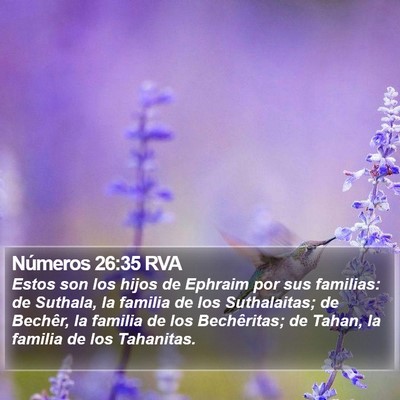 Números 26:35 RVA Bible Verse Image