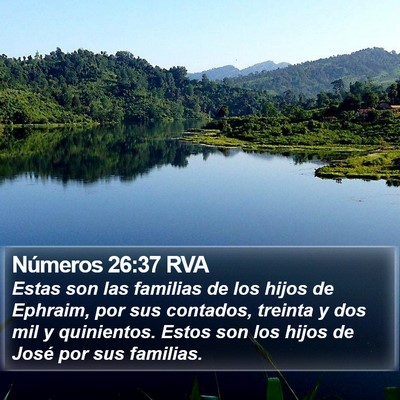 Números 26:37 RVA Bible Verse Image