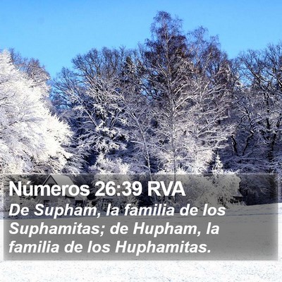 Números 26:39 RVA Bible Verse Image