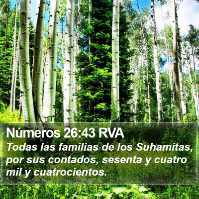 Números 26:43 RVA Bible Verse Image