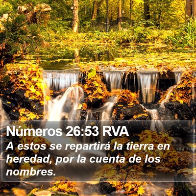 Números 26:53 RVA Bible Verse Image