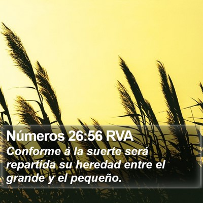 Números 26:56 RVA Bible Verse Image