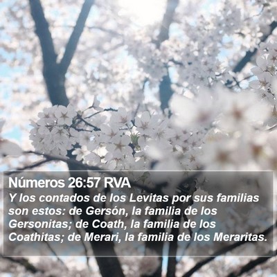 Números 26:57 RVA Bible Verse Image