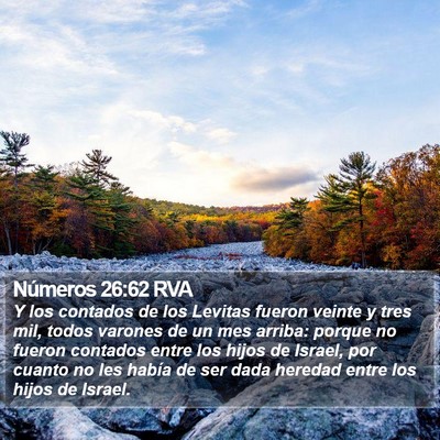 Números 26:62 RVA Bible Verse Image