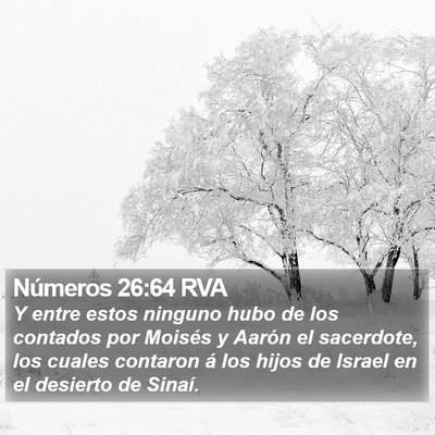 Números 26:64 RVA Bible Verse Image