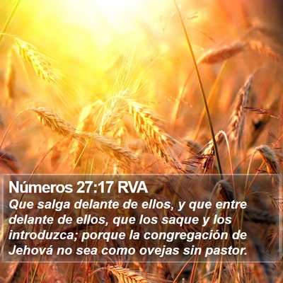 Números 27:17 RVA Bible Verse Image