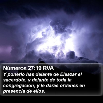 Números 27:19 RVA Bible Verse Image