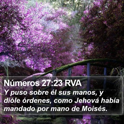 Números 27:23 RVA Bible Verse Image