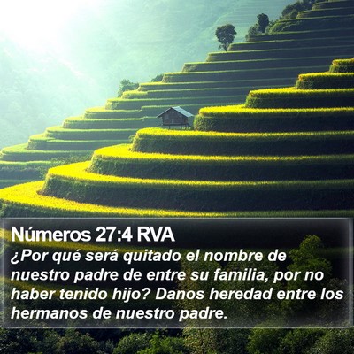 Números 27:4 RVA Bible Verse Image