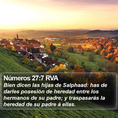 Números 27:7 RVA Bible Verse Image