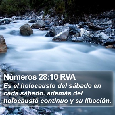 Números 28:10 RVA Bible Verse Image