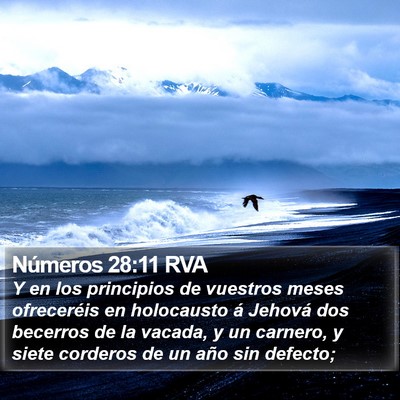 Números 28:11 RVA Bible Verse Image