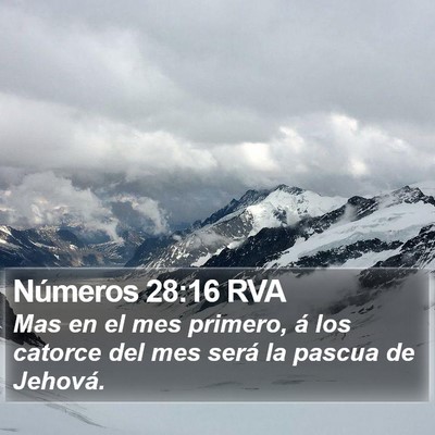 Números 28:16 RVA Bible Verse Image