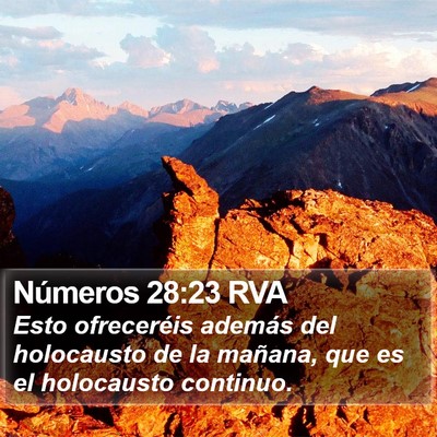 Números 28:23 RVA Bible Verse Image