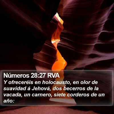 Números 28:27 RVA Bible Verse Image