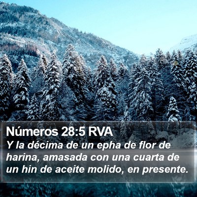 Números 28:5 RVA Bible Verse Image