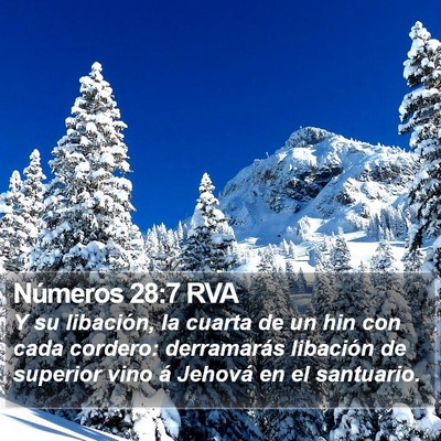 Números 28:7 RVA Bible Verse Image