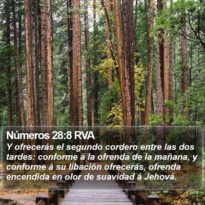 Números 28:8 RVA Bible Verse Image