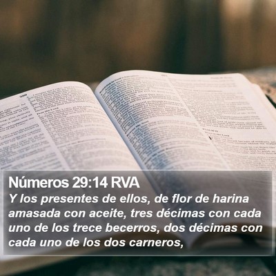 Números 29:14 RVA Bible Verse Image