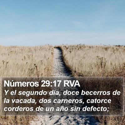 Números 29:17 RVA Bible Verse Image