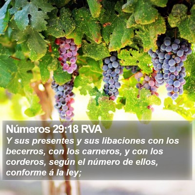 Números 29:18 RVA Bible Verse Image