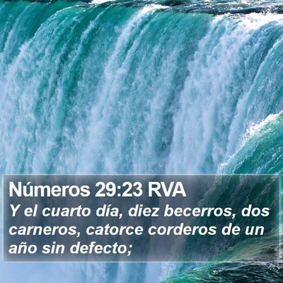 Números 29:23 RVA Bible Verse Image