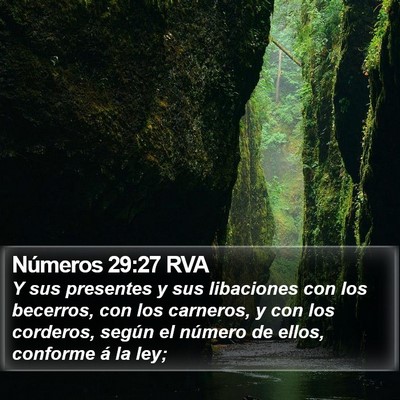 Números 29:27 RVA Bible Verse Image