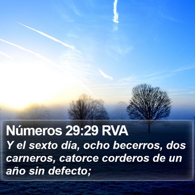 Números 29:29 RVA Bible Verse Image