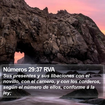 Números 29:37 RVA Bible Verse Image