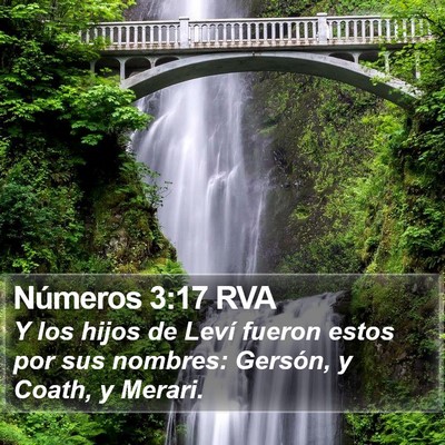 Números 3:17 RVA Bible Verse Image