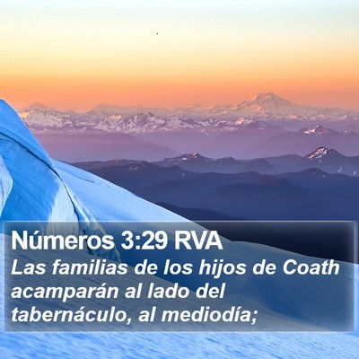 Números 3:29 RVA Bible Verse Image