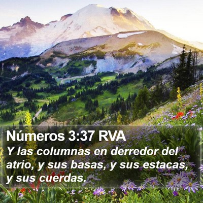 Números 3:37 RVA Bible Verse Image