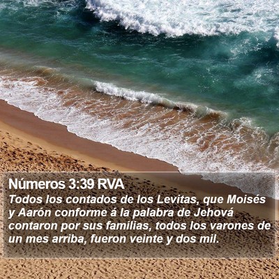 Números 3:39 RVA Bible Verse Image