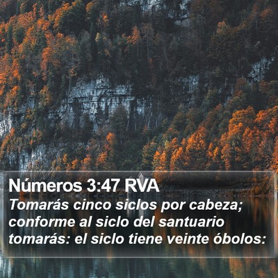 Números 3:47 RVA Bible Verse Image