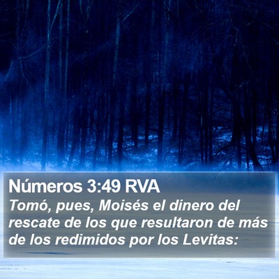 Números 3:49 RVA Bible Verse Image